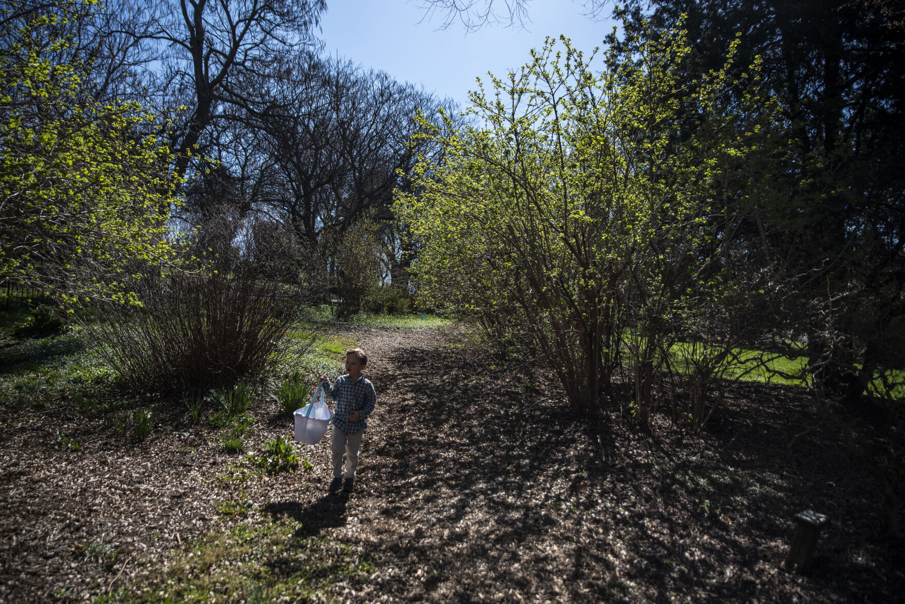 Easter egg hunt